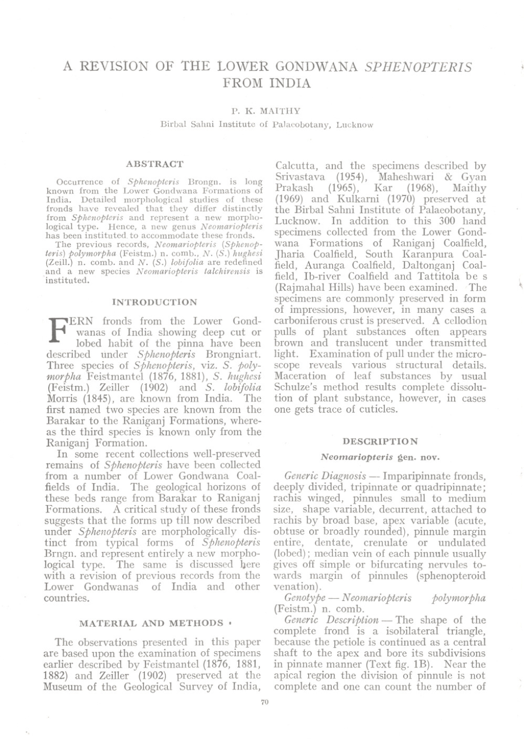 A Revision of the Lower Gondwana Sphenopteris from India