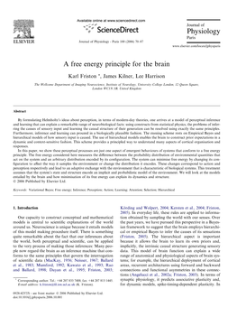 A Free Energy Principle for the Brain
