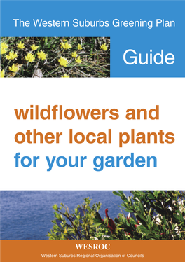 Wildflowers and Other Local Plants for Your Garden