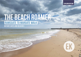 THE Beach Roamer Ramsgate to Margate Walk