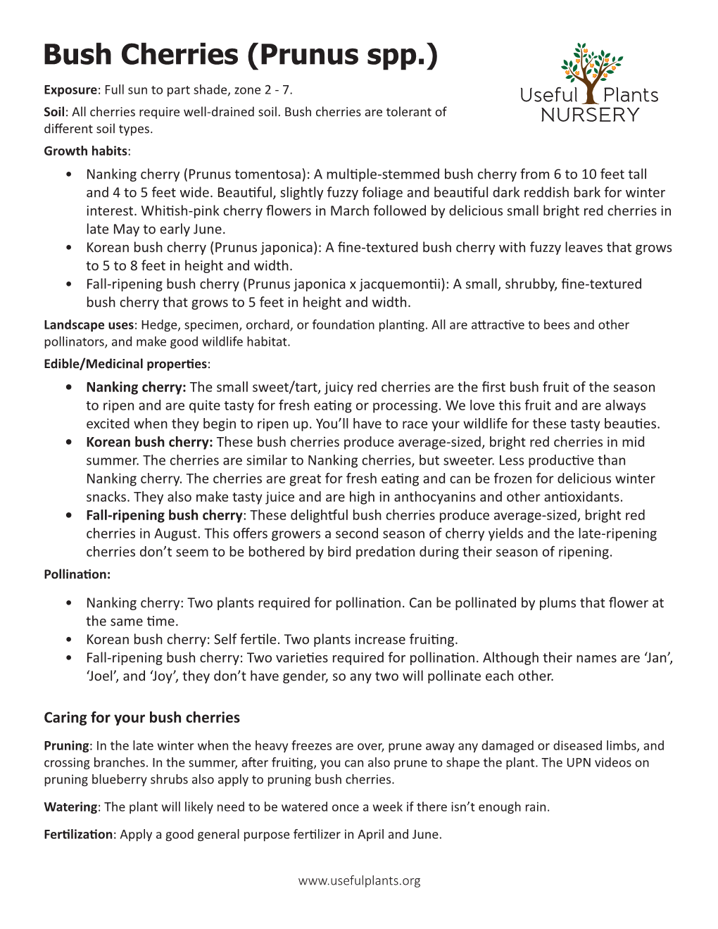 Bush Cherries (Prunus Spp.) Exposure: Full Sun to Part Shade, Zone 2 - 7