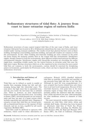 Sedimentary Structures of Tidal Flats: a Journey from Coast to Inner
