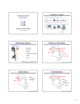 Statistical NLP Articulatory System Places of Articulation Labial Place Coronal Place