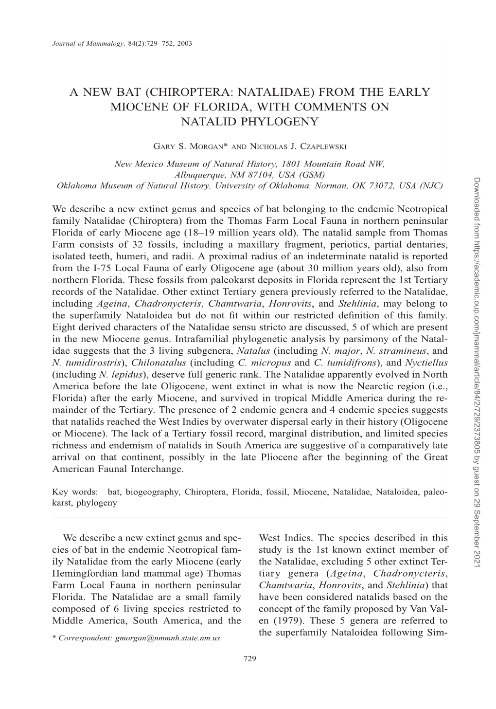 (Chiroptera: Natalidae) from the Early Miocene of Florida, with Comments on Natalid Phylogeny