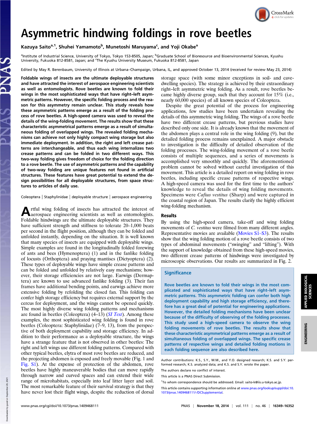 Asymmetric Hindwing Foldings in Rove Beetles