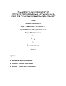 Analysis of Various Bioreactor Configurations for Heavy Metal Removal Using the Fungus Penicillium Ochro-Chloron