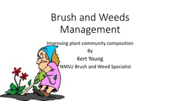 Brush and Weeds Management