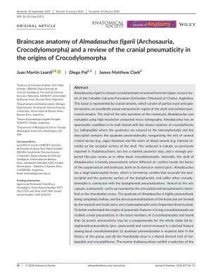 Braincase Anatomy of Almadasuchus Figarii (Archosauria, Crocodylomorpha) and a Review of the Cranial Pneumaticity in the Origins of Crocodylomorpha