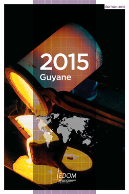 Rapport D'activité 2015 De La Guyane