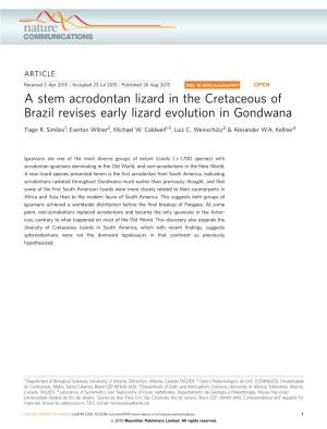 A Stem Acrodontan Lizard in the Cretaceous of Brazil Revises Early Lizard Evolution in Gondwana