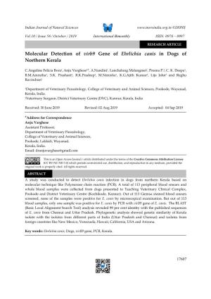 Molecular Detection of Virb9 Gene of Ehrlichia Canis in Dogs of Northern Kerala