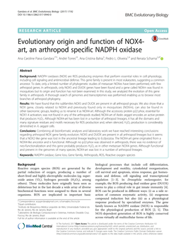 Evolutionary Origin and Function of NOX4-Art, an Arthropod Specific NADPH Oxidase