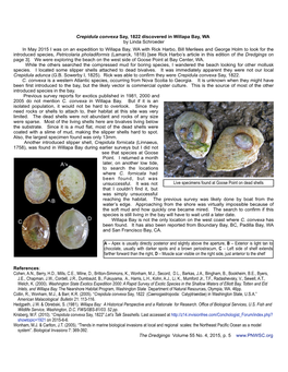 Crepidula Convexa Say, 1822 Discovered in Willapa Bay, WA by Linda Schroeder