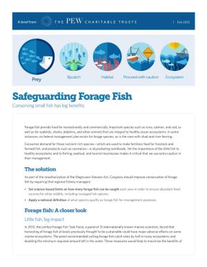 Safeguarding Forage Fish (PDF)