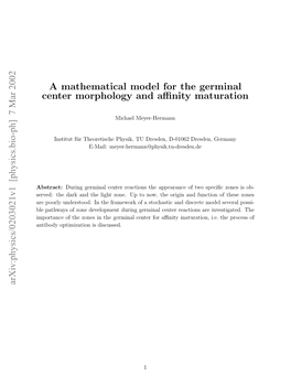 A Mathematical Model for the Germinal Center Morphology and Affinity
