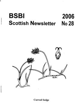 BSBI 2006 Scottish Newsletter No 28