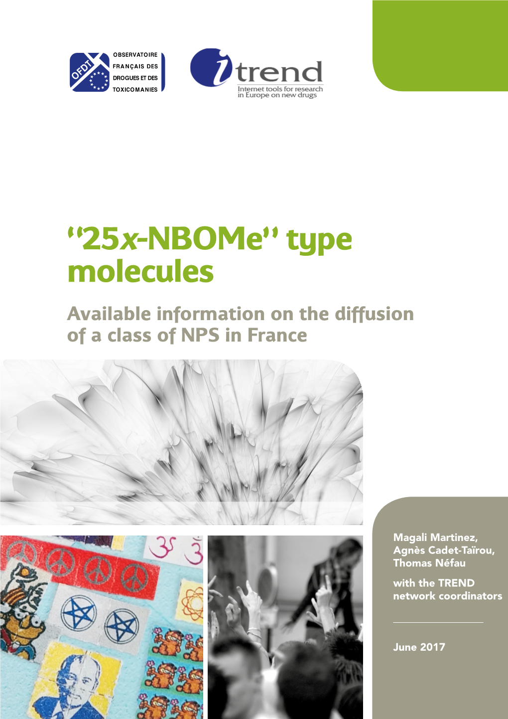 25X-Nbome” Type Molecules Available Information on the Diffusion of a Class of NPS in France