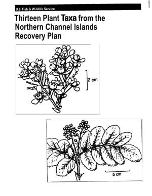 Thirteen Plant Taxa from the Northern Channel Islands Recovery Plan
