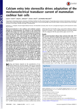 Calcium Entry Into Stereocilia Drives Adaptation of the Mechanoelectrical Transducer Current of Mammalian Cochlear Hair Cells