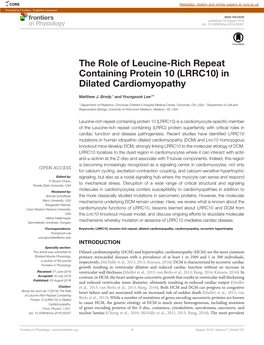 The Role of Leucine-Rich Repeat Containing Protein 10 (LRRC10) in Dilated Cardiomyopathy