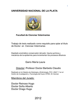 Documento Completo