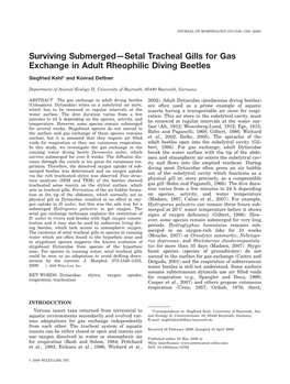 Surviving Submerged—Setal Tracheal Gills for Gas Exchange in Adult Rheophilic Diving Beetles