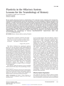 Plasticity in the Olfactory System: Lessons for the Neurobiology of Memory D