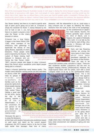 お花見 O-Hanami: Viewing Japan's Favourite Flower