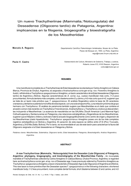 Un Nuevo Trachytheriinae (Mammalia,†Notoungulata) Del