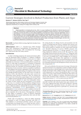 Current Strategies Involved in Biofuel Production from Plants and Algae