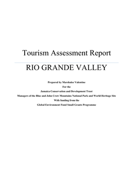 Rio Grande Valley Tourism Assessment Report