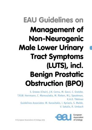 EAU Guidelines on the Management of Non-Neurogenic Male LUTS 2019