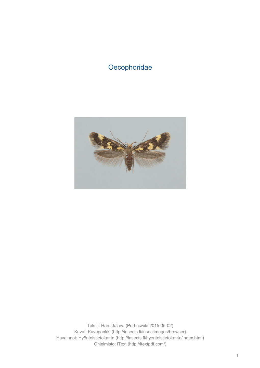 Oecophoridae