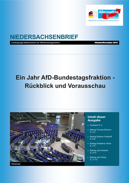 NIEDERSACHSENBRIEF Ein Jahr Afd-Bundestagsfraktion