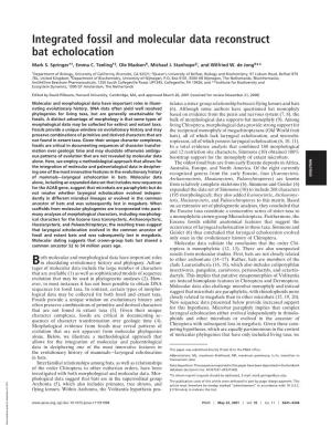 Integrated Fossil and Molecular Data Reconstruct Bat Echolocation