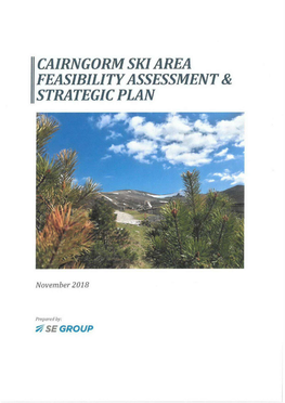 Cairngorm Ski Area Feasibility Assessment & Strategic Plan