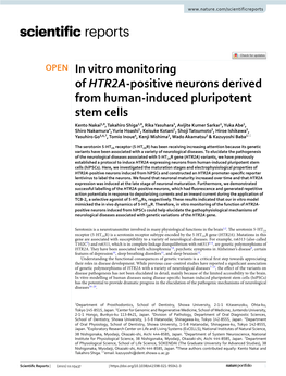 In Vitro Monitoring of HTR2A-Positive Neurons Derived from Human