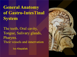 General Anatomy of Gastro-Intestinal System