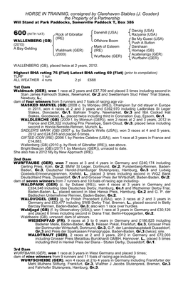 HORSE in TRAINING, Consigned by Clarehaven Stables (J. Gosden) the Property of a Partnership Will Stand at Park Paddocks, Somerville Paddock T, Box 386