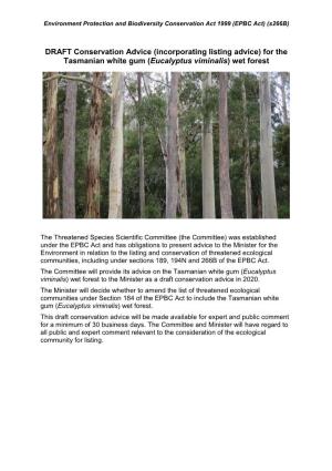 For the Tasmanian White Gum (Eucalyptus Viminalis) Wet Forest