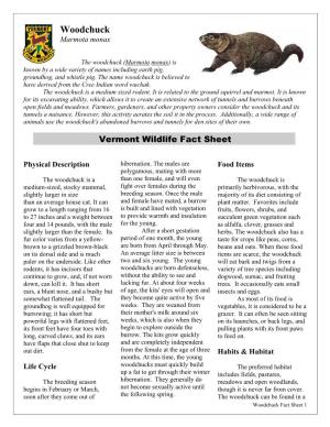 Vermont Wildlife Fact Sheet: Woodchuck