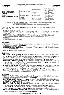 Consigned by Barouche Stud (Ireland) Ltd Seattle Slew Bold