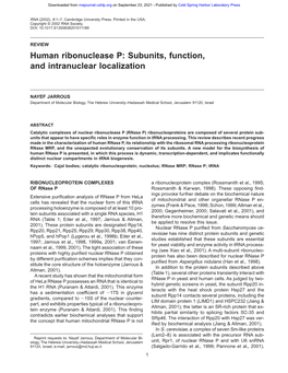 Human Ribonuclease P: Subunits, Function, and Intranuclear Localization