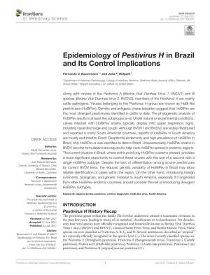 Epidemiology of Pestivirus H in Brazil and Its Control Implications