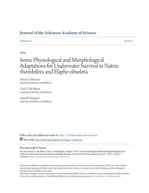 Some Physiological and Morphological Adaptations for Underwater Survival in Natrix Rhombifera and Elaphe Obsoleta Dennis A