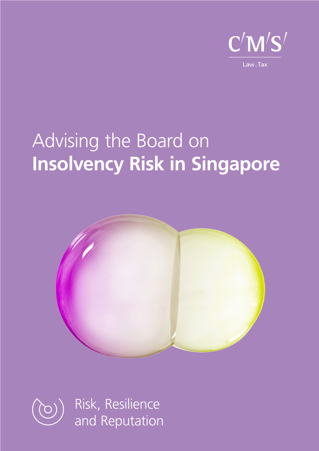 Singapore Insolvency Brochure.Indd