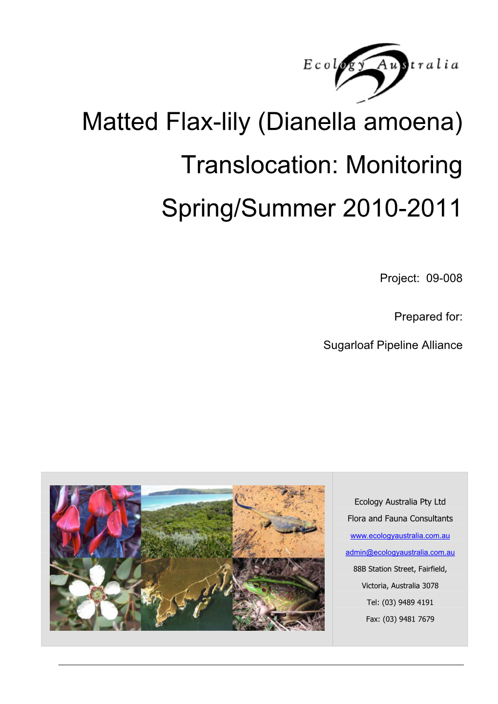 Matted Flax-Lily (Dianella Amoena)