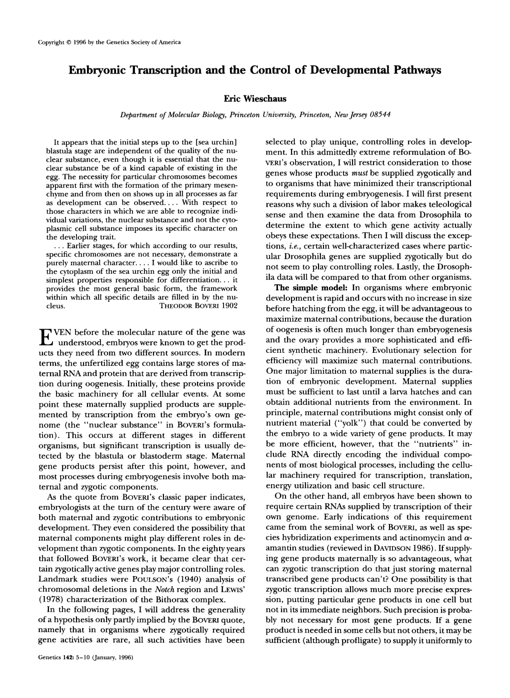 Embryonic Transcription and the Control of Developmental Pathways