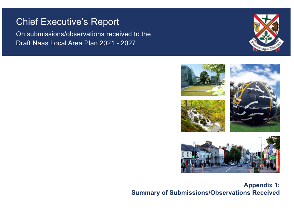 Chief Executive's Report