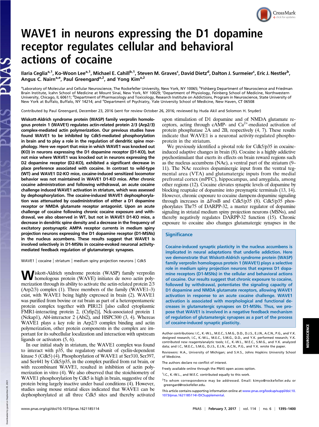 WAVE1 in Neurons Expressing the D1 Dopamine Receptor Regulates Cellular and Behavioral Actions of Cocaine